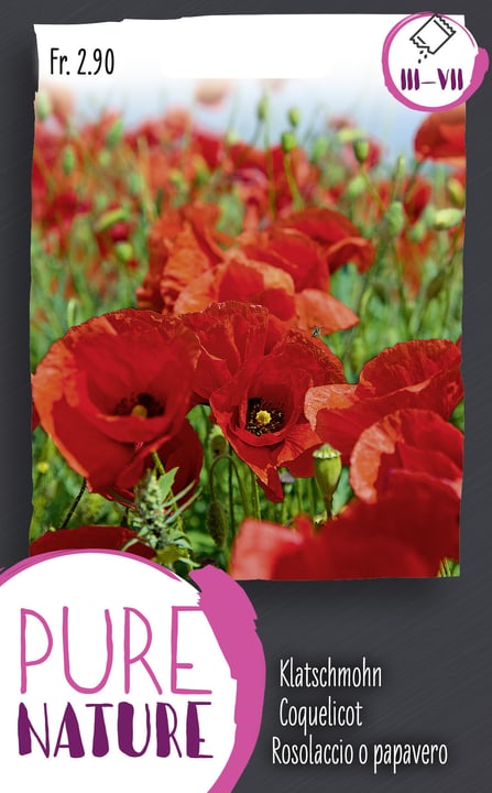 Image of Klatschmohn, leuchtenrot 0.5g Blumensamen bei Do it + Garden von Migros