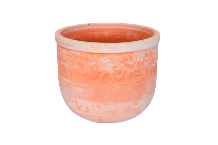 Image of Sardinia Blumentopf bei Do it + Garden von Migros