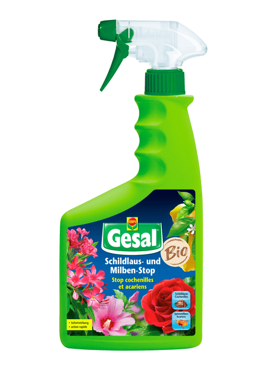 Image of Compo Gesal Schildlaus- und Milben-Stop, 750 ml Insektizid