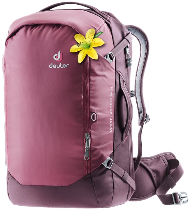 Image of Deuter AViANT Access SL Damen-Reiserucksack himbeer bei Migros SportXX