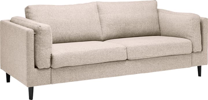 DIENER Canapé 2.5 places DIENER Canapé 2.5 places 405738800000 Couleur Beige Dimensions L: 208.0 cm x P: 92.0 cm x H: 82.0 cm Photo no. 1