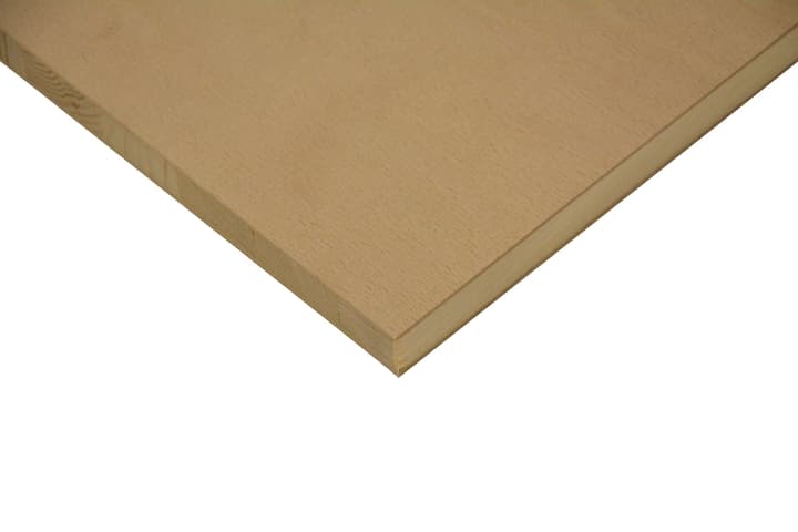 Paneforte faggio Paneforte faggio 640108700000 Spessore 13.0 mm N. figura 1