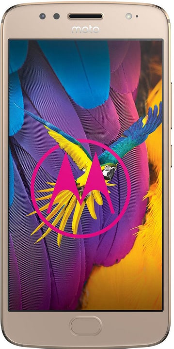 Motorola Moto G5s Dual SIM 32GB or Smartphone Moto G5s Dual SIM 32GB or Smartphone Motorola 785300133069 N. figura 1