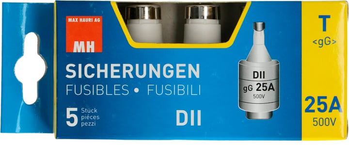 Image of Max Hauri Sicherung DT II Träge 25A 5 Stk. bei Do it + Garden von Migros