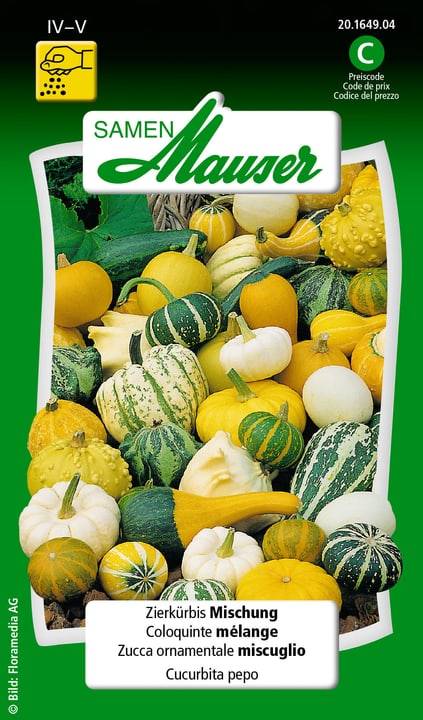 Image of Samen Mauser Zierkürbis Mischung Blumensamen bei Do it + Garden von Migros