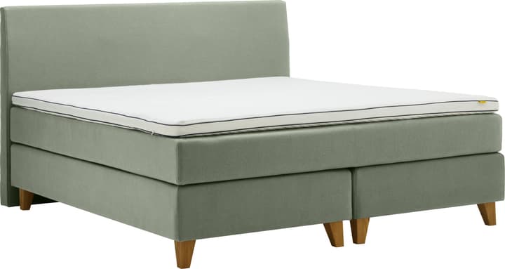 Boxspringbett GOODNIGHT