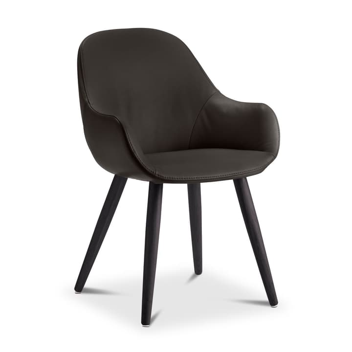 LAYLA Chaise Sauvage LAYLA Chaise Sauvage 366028939202 Dimensions L: 56.0 cm x P: 60.0 cm x H: 84.0 cm Couleur Brun foncé Photo no. 1
