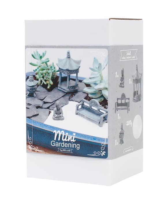 Image of I AM CREATIVE Asia Box Mini Gardening