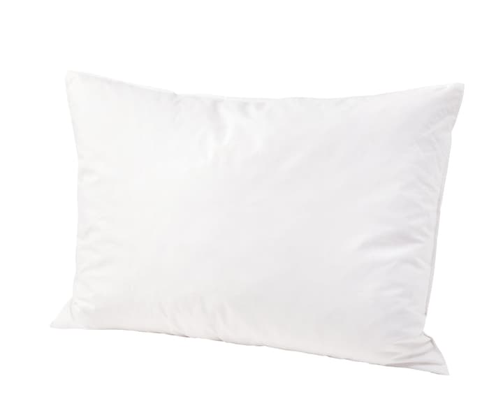 MEZZO soft Oreiller ultradoux avec plumettes duveteuses et protection anti-acariens MEZZO soft Oreiller ultradoux avec plumettes duveteuses et protection anti-acariens 451732810610 Couleur Blanc Dimensions L: 65.0 cm x P: 65.0 cm Photo no. 1