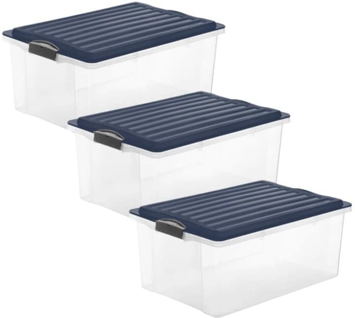 Image of Rotho Compact 38L A3, 3er Set MID.BLAU Aufbewahrungsbox