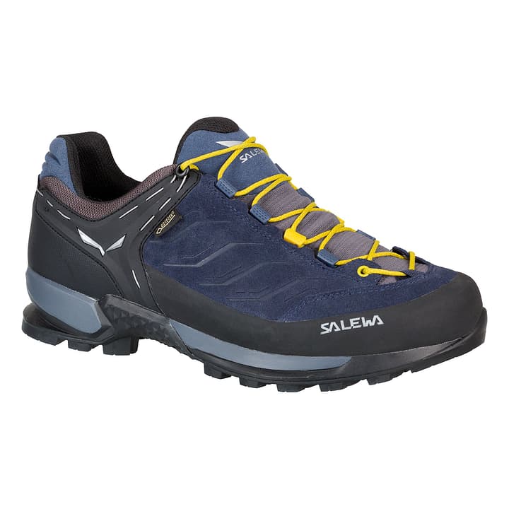Salewa Mtn Trainer GTX Herren-Multifunktionsschuh Mtn Trainer GTX Herren-Multifunktionsschuh Salewa 462972042040 Farbe blau Grösse 42 Bild-Nr. 1