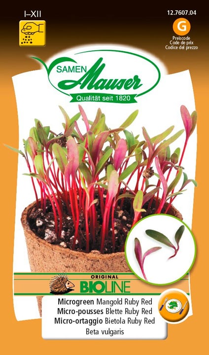 Image of Samen Mauser BIO-Microgreen Mangold Ruby Red Microgreen