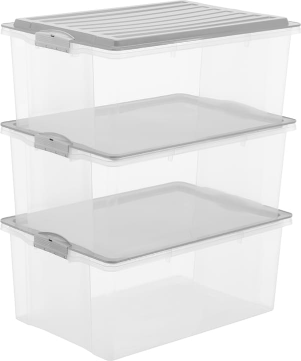 Rotho Compact 38 l mit Deckel, A3, 3er-Set Aufbewahrungsbox - kaufen