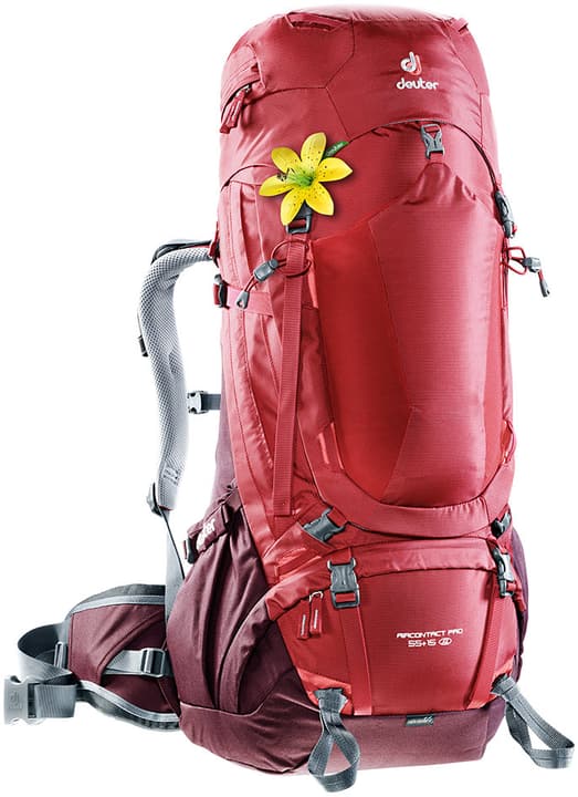 Deuter Aircontact Pro 55+15 Damen-Rucksack Aircontact Pro 55+15 Damen-Rucksack Deuter 460235800030 Farbe rot Grösse Einheitsgrösse Bild-Nr. 1