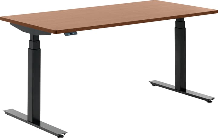 FLEXCUBE Bureau FLEXCUBE Bureau 401836300000 Dimensions L: 160.0 cm x P: 80.0 cm x H: 75.0 cm Couleur Chêne Photo no. 1