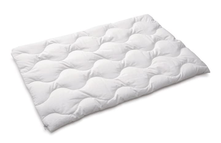 DAUNIA Housse de duvet moeulleux pour oreiller DAUNIA Housse de duvet moeulleux pour oreiller 451753110810 Couleur Blanc Dimensions L: 50.0 cm x P: 70.0 cm Photo no. 1