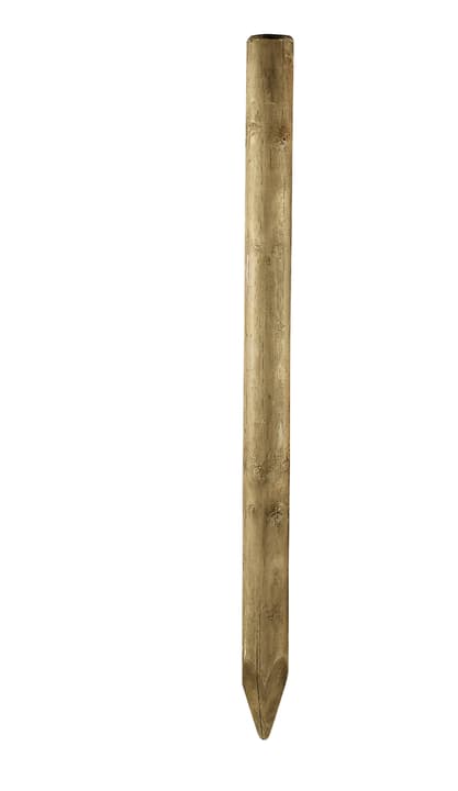 Image of Larus Kiefernpfahl Holzpfahl