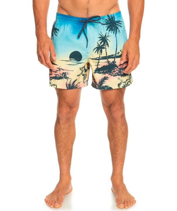 Image of Quiksilver Everyday Paradise Volley 15 Badeshorts mehrfarbig