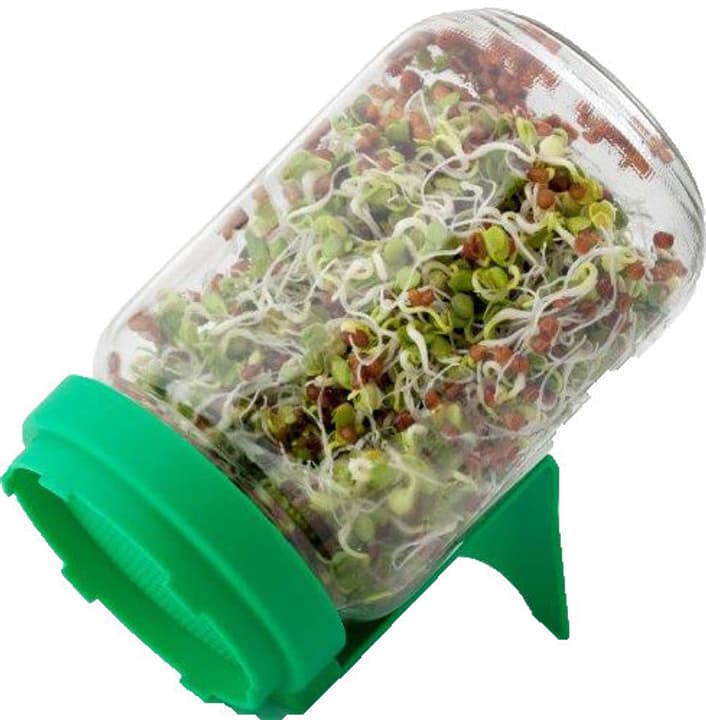 Image of Samen Mauser Sprossenglas Sprossen & Keimlinge bei Do it + Garden von Migros