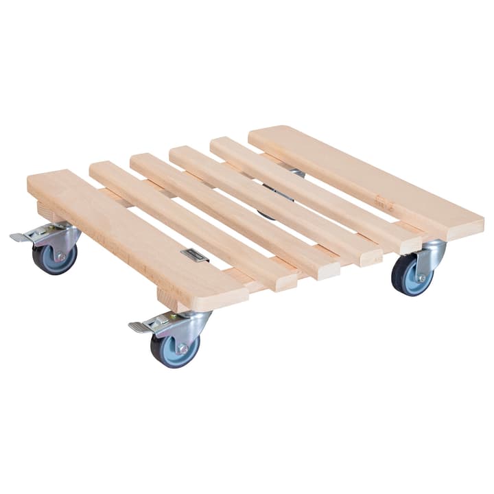 Image of Wagner System Multiroller Pflanzenroller bei Do it + Garden von Migros