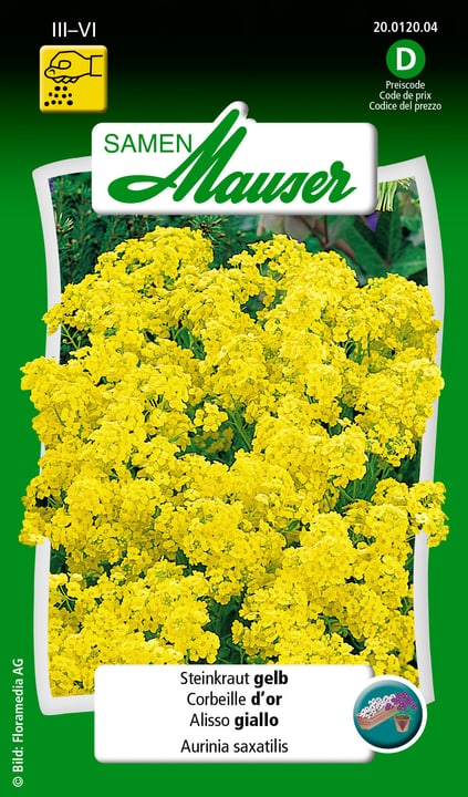 Image of Samen Mauser Steinkraut gelb Blumensamen