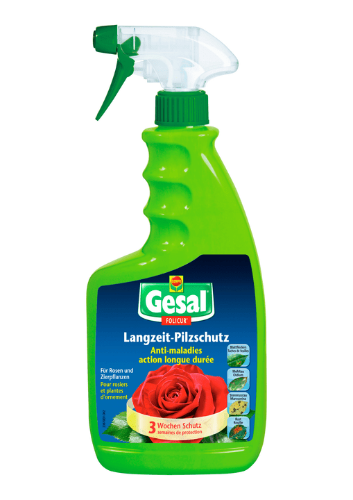 Image of Compo Gesal Langzeit-Pilzschutz FOLICUR RTU, 750 ml Insektizid bei Do it + Garden von Migros