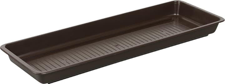 Plastkon Sottovaso per cassetta per fiori in materia sintetica Sottovaso per cassetta per fiori in materia sintetica Plastkon 659577000000 Taglio L: 40.0 cm x L: 17.0 cm x A: 4.5 cm Colore Marrone N. figura 1