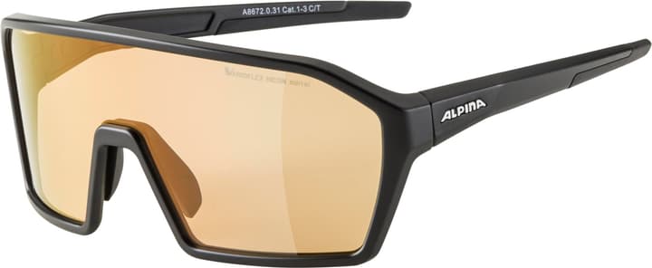 Image of Alpina Ram Q-Lite V Sportbrille schwarz