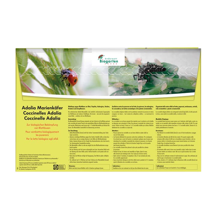 Image of Andermatt Biogarten Adalia Marienkäfer gegen Blattläuse, 25 Adulte Nützlinge bei Do it + Garden von Migros