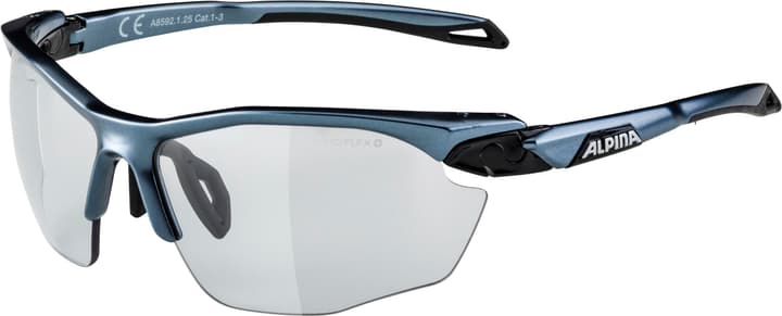 Image of Alpina Twist Five HR V Sportbrille grau