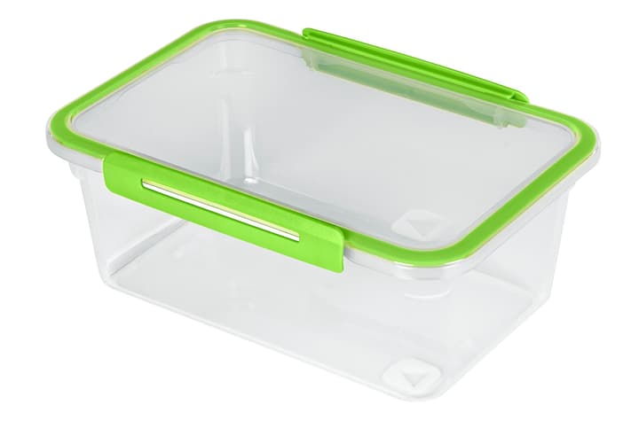 Image of Rotho Kühlschrankdose 2 l MEMORY Küche bei Do it + Garden von Migros