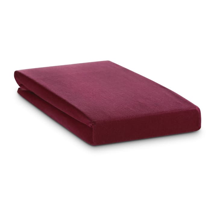 JERSEY Lenzuolo con angoli JERSEY Lenzuolo con angoli 376033491203 Colore Viola Dimensioni L: 200.0 cm x L: 180.0 cm N. figura 1
