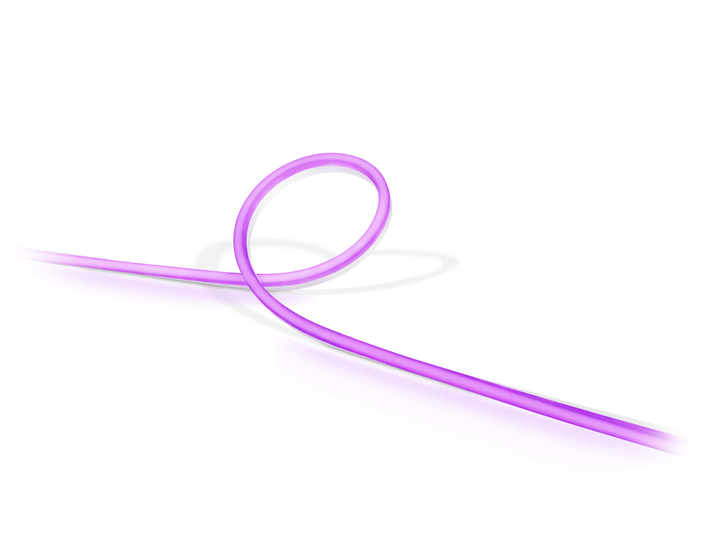 Image of Philips hue Outdoor Lightstrip 2 m Light-Strip bei Do it + Garden von Migros