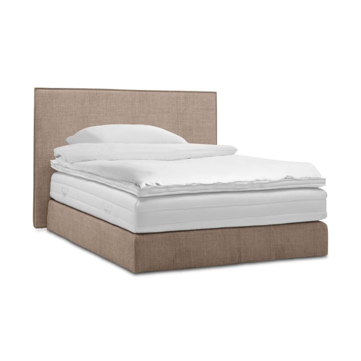 GRACE Boxspringbett GRACE Boxspringbett 364296900000 Grösse B: 200.0 cm x T: 160.0 cm Farbe Braun Bild Nr. 1