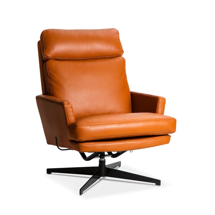 AIDEN Sessel AIDEN Sessel 360049649801 Grösse B: 75.0 cm x T: 90.0 cm x H: 105.0 cm Farbe Cognac Bild Nr. 1