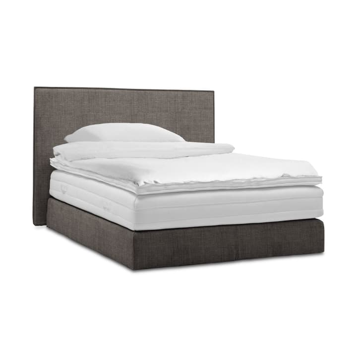 GRACE Boxspringbett GRACE Boxspringbett 364297000000 Grösse B: 200.0 cm x T: 160.0 cm Farbe Anthrazit Bild Nr. 1
