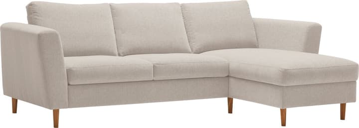 Ecksofa DIENER