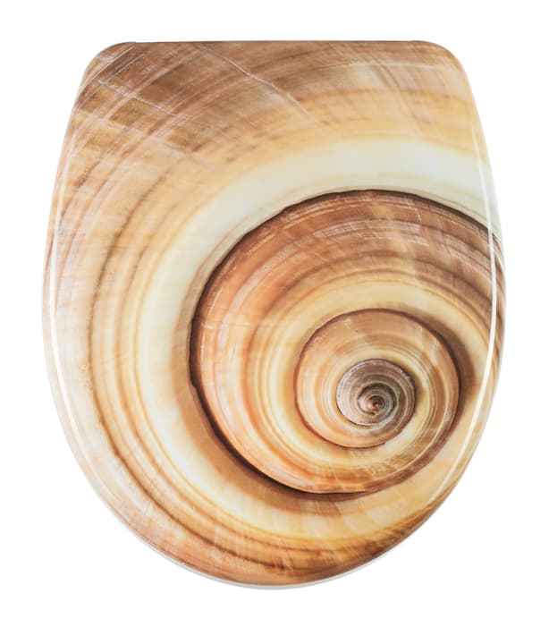 Image of diaqua Nice Sea Shell WC-Sitz bei Do it + Garden von Migros