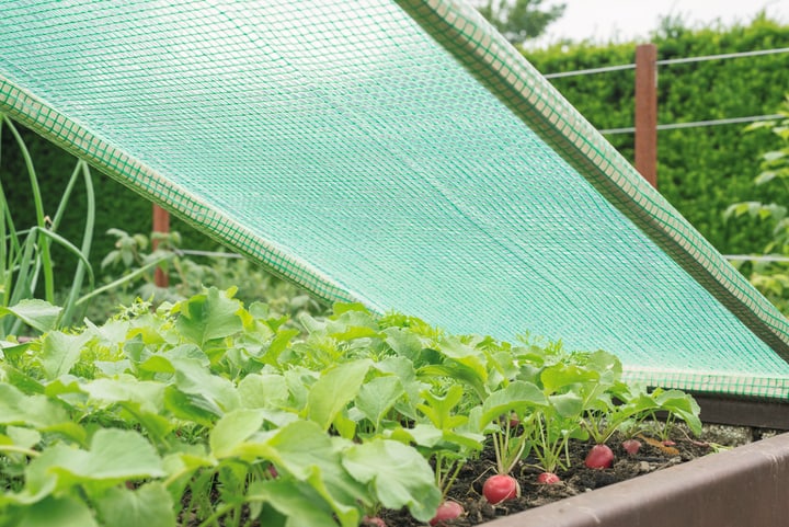 Image of Windhager 5 x 1.5 m Gitterfolie bei Do it + Garden von Migros