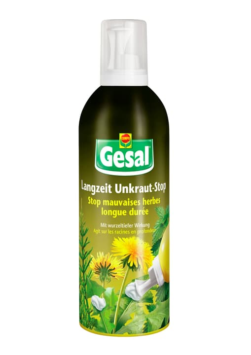 Image of Compo Gesal Langzeit Unkraut-Stop, 400 ml Unkraut bei Do it + Garden von Migros