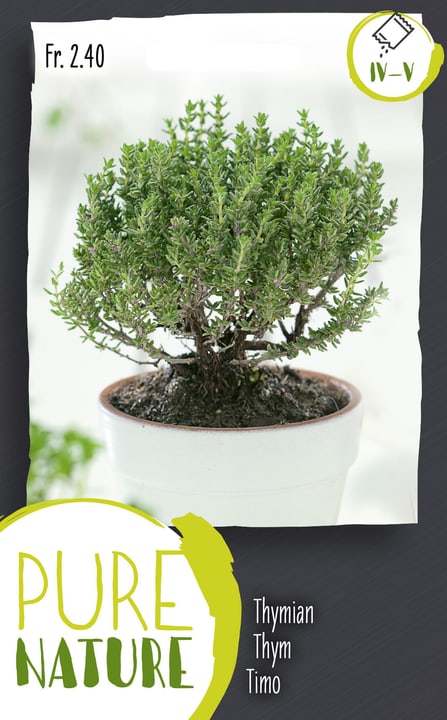 Image of Thymian Sommer einjährig 0.5g Kräutersamen bei Do it + Garden von Migros