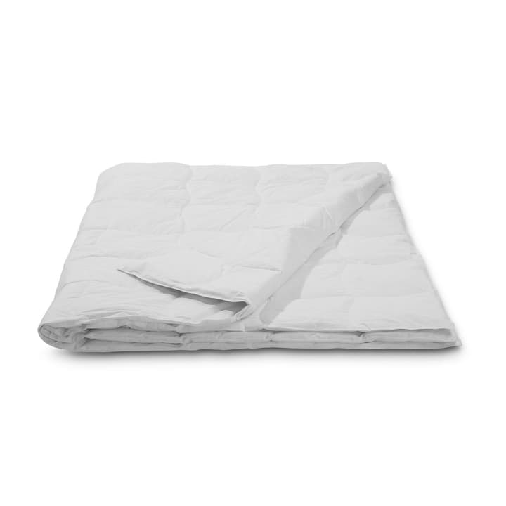 CLASSIC COOL Piumino da piume d’oca di qualità superiore con protezione contro gli acari della polvere CLASSIC COOL Piumino da piume d’oca di qualità superiore con protezione contro gli acari della polvere 376052300000 Colore Bianco Dimensioni L: 210.0 cm x L: 200.0 cm N. figura 1