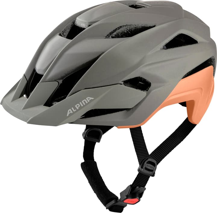 Image of Alpina Kamloop Velohelm grau