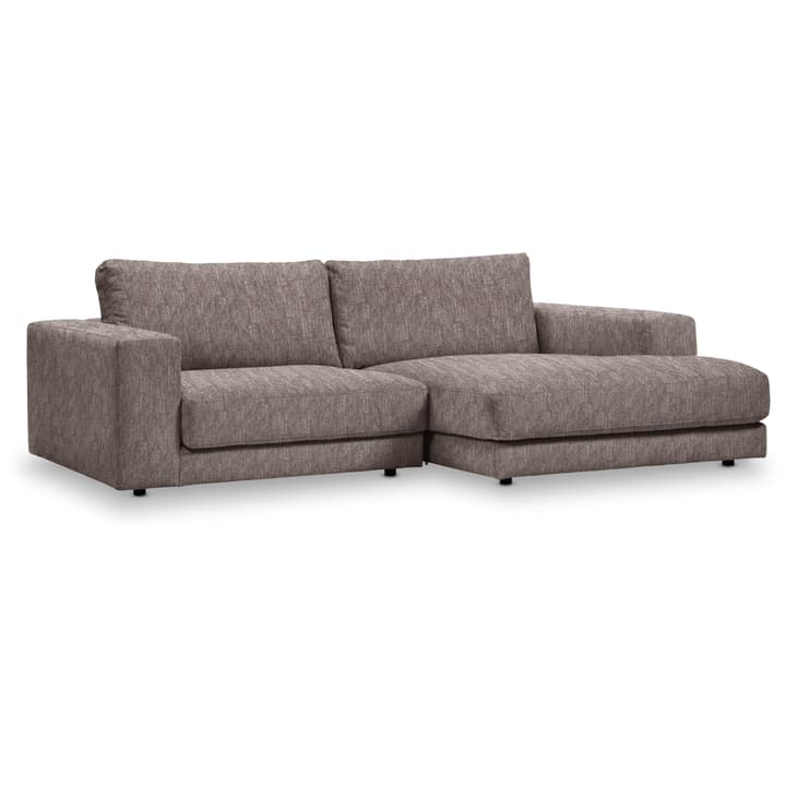 HARRISON 1.5pl/Rec HARRISON 1.5pl/Rec 360469900000 Dimensions L: 250.0 cm x P: 170.0 cm x H: 85.0 cm Couleur Brun clair Photo no. 1