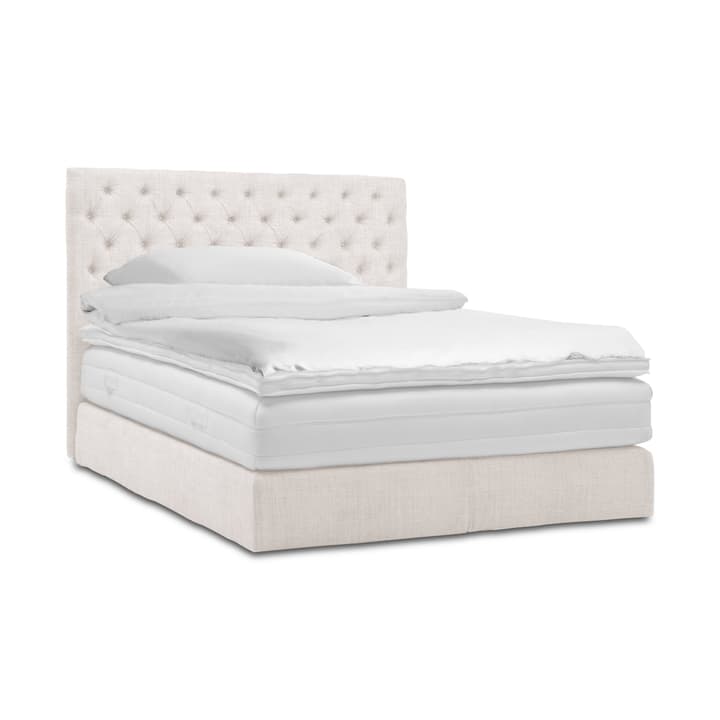 GRACE Boxspringbett GRACE Boxspringbett 364293900000 Grösse B: 200.0 cm x T: 160.0 cm Farbe Ecru Bild Nr. 1