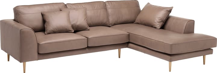 ADLER Canapé d'angle ADLER Canapé d'angle 405729650088 Couleur Gris taupe Dimensions L: 295.0 cm x P: 202.0 cm x H: 90.0 cm Photo no. 1