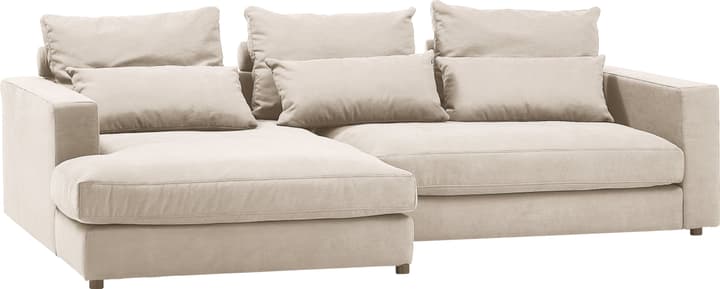 Ecksofa DARWIN