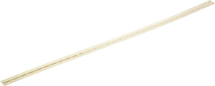 Image of Stangenscharnier vermessingt 1000 x 32 0.7 mm Scharniere bei Do it + Garden von Migros