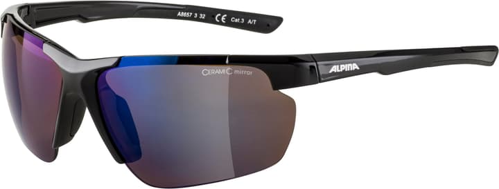 Image of Alpina Defey HR Sportbrille anthrazit