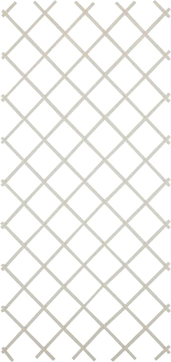 Image of Kunststoff-Scherengitter Rankgitter + Spalier bei Do it + Garden von Migros